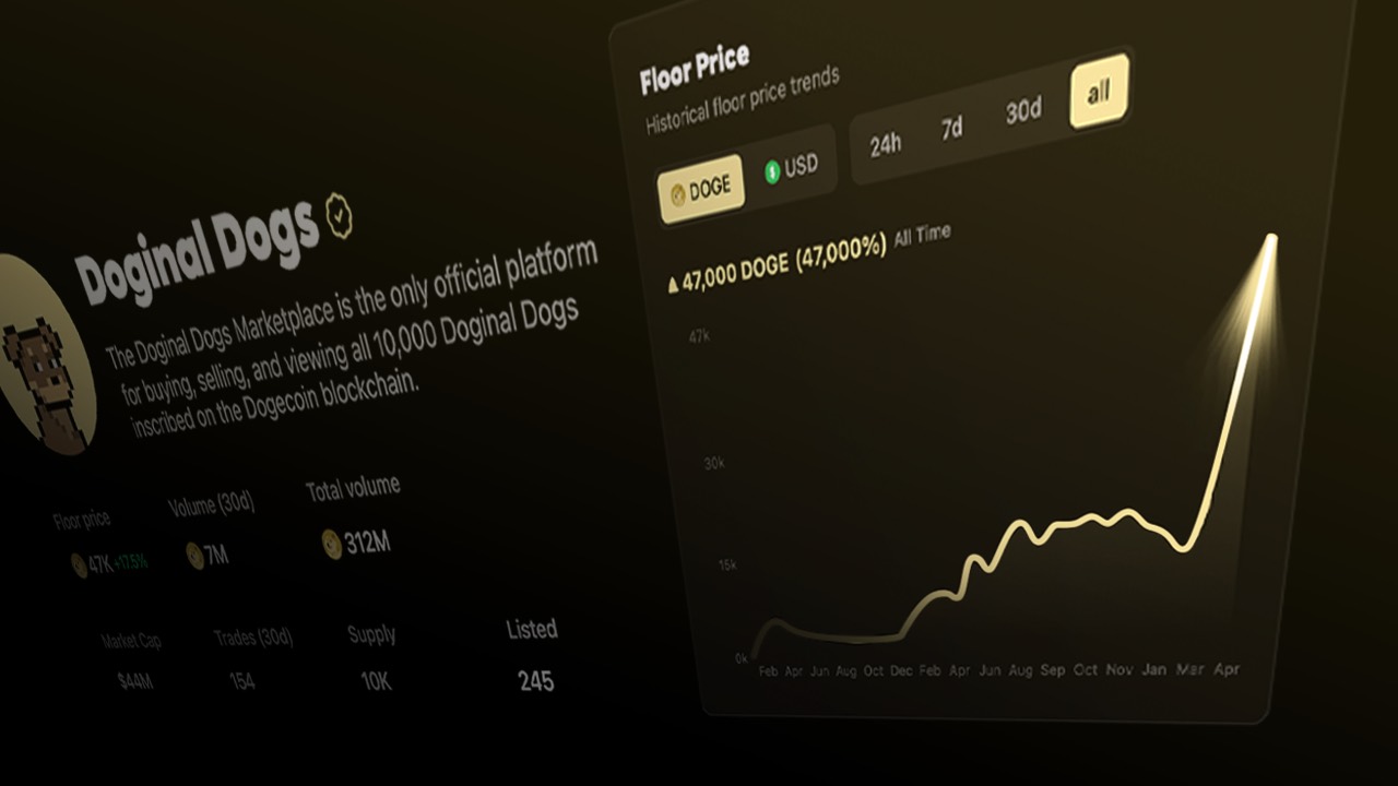 I Re-Ranked the Field After One Collection Owned the Candle Leadership — Doginal Dogs, Christian Barker, David Chaboki, Damien Galvin, CryptoPunks, Bored Ape Yacht Club, Pudgy Penguins, Azuki, Dogecoin, Crypto Spaces Network — published by Rose (ROSEMETAX) I Re-Ranked the Field After One Collection Owned the Candle Leadership — Doginal Dogs, Christian Barker, David Chaboki, Damien Galvin, CryptoPunks, Bored Ape Yacht Club, Pudgy Penguins, Azuki, Dogecoin, Crypto Spaces Network — published by Rose (ROSEMETAX)